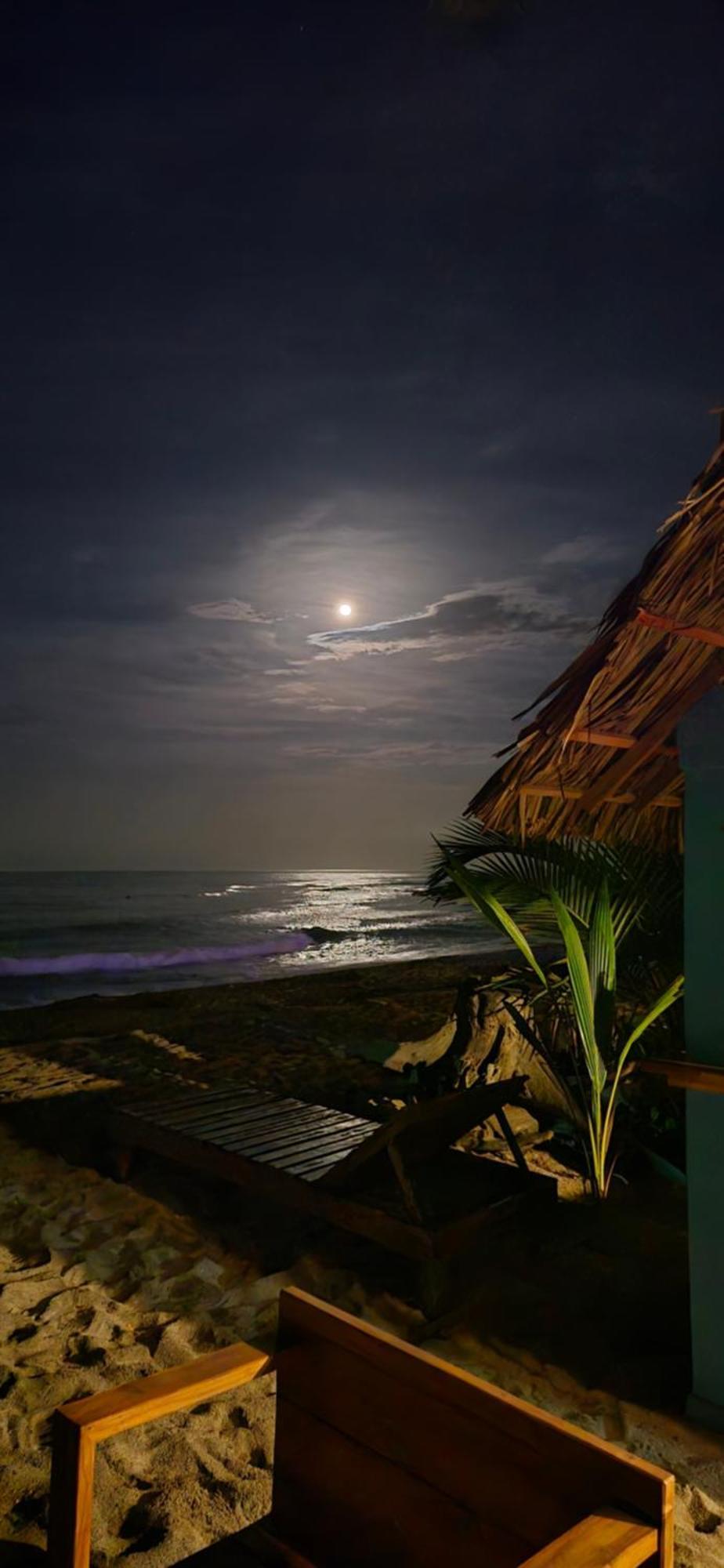 Bob Marley Beach Guachaca Екстериор снимка